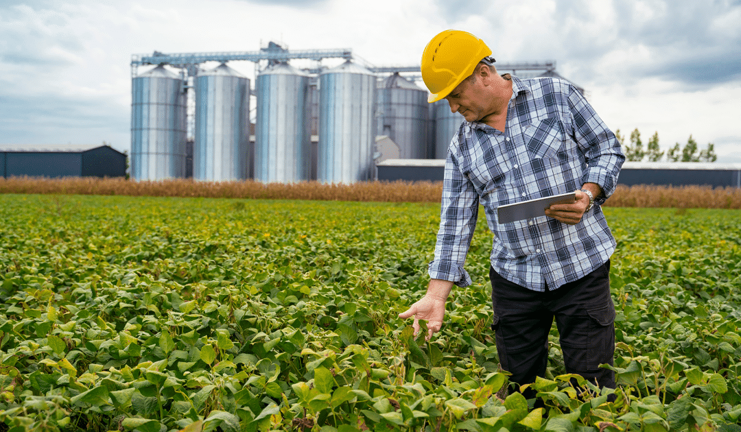 Por que investir em CRA – Certificados de Recebíveis do Agronegócio